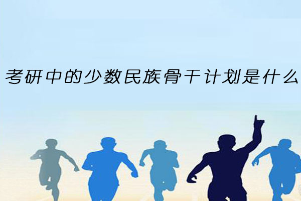 少数民族骨干计划